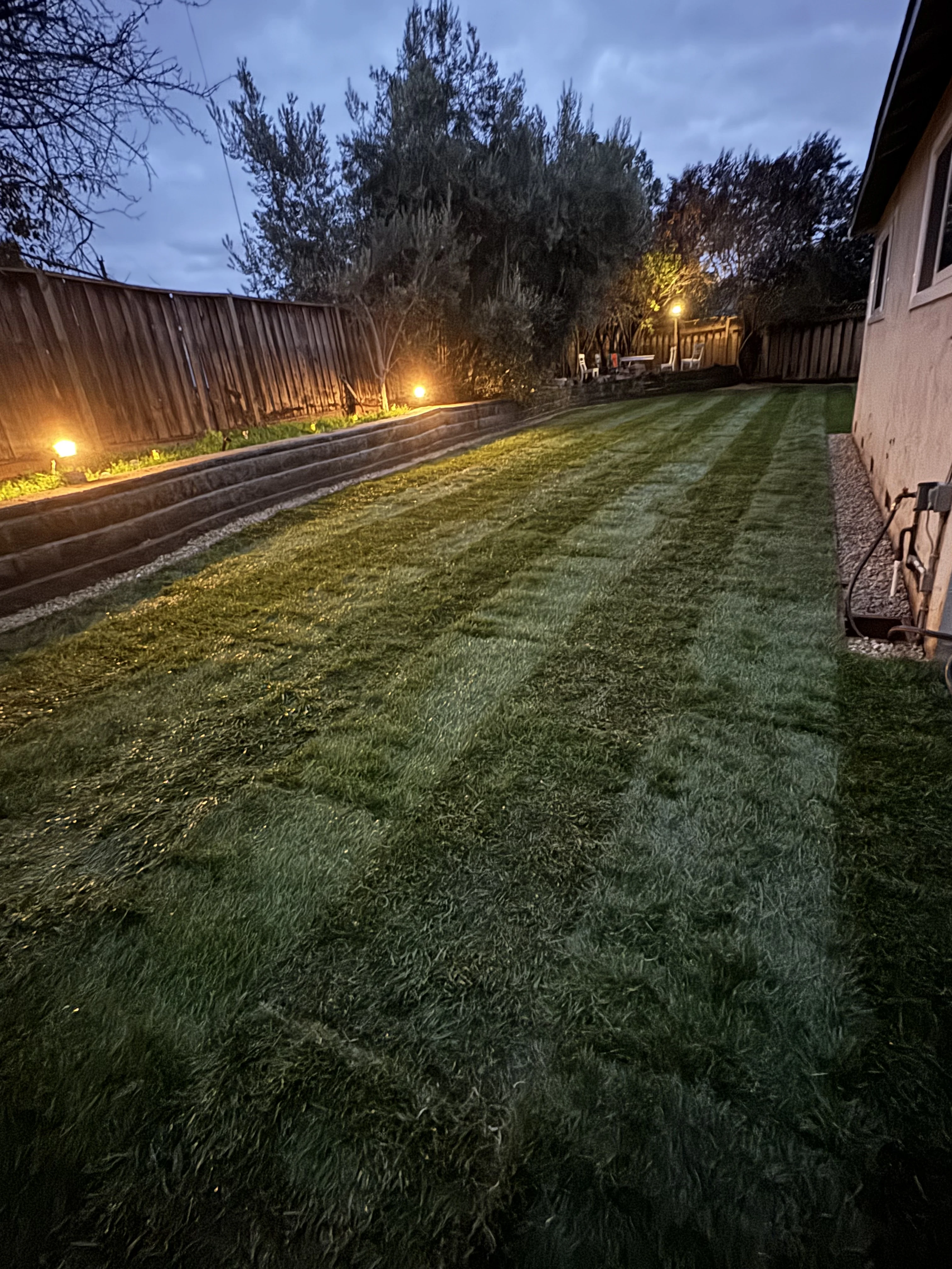 Completed lawn and landscape lighting at dusk
